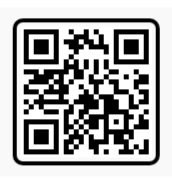 Ek Hi Aurat Ko Duniya Mankar Trending Vn Template 